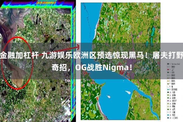 金融加杠杆 九游娱乐欧洲区预选惊现黑马！屠夫打野奇招，OG战胜Nigma！