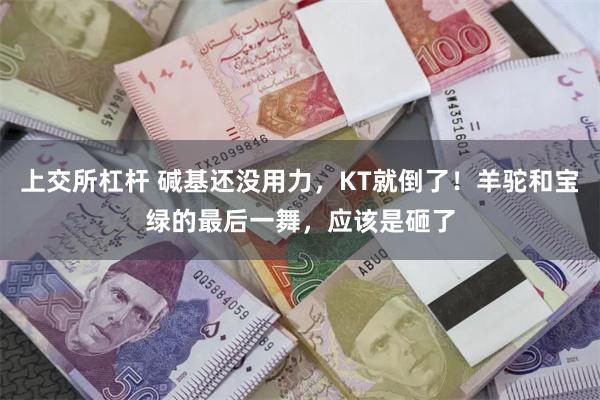 上交所杠杆 碱基还没用力，KT就倒了！羊驼和宝绿的最后一舞，应该是砸了