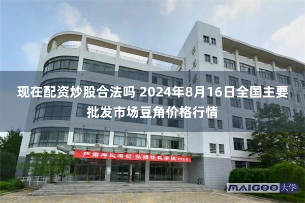 现在配资炒股合法吗 2024年8月16日全国主要批发市场豆角价格行情