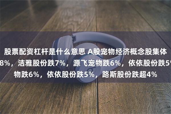 股票配资杠杆是什么意思 A股宠物经济概念股集体回调：可靠股份跌超8%，洁雅股份跌7%，源飞宠物跌6%，依依股份跌5%，路斯股份跌超4%