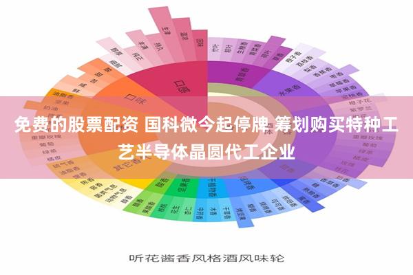 免费的股票配资 国科微今起停牌 筹划购买特种工艺半导体晶圆代工企业