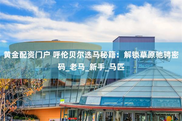 黄金配资门户 呼伦贝尔选马秘籍：解锁草原驰骋密码_老马_新手_马匹