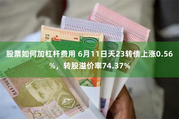 股票如何加杠杆费用 6月11日天23转债上涨0.56%，转股溢价率74.37%