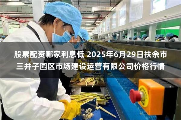 股票配资哪家利息低 2025年6月29日扶余市三井子园区市场建设运营有限公司价格行情