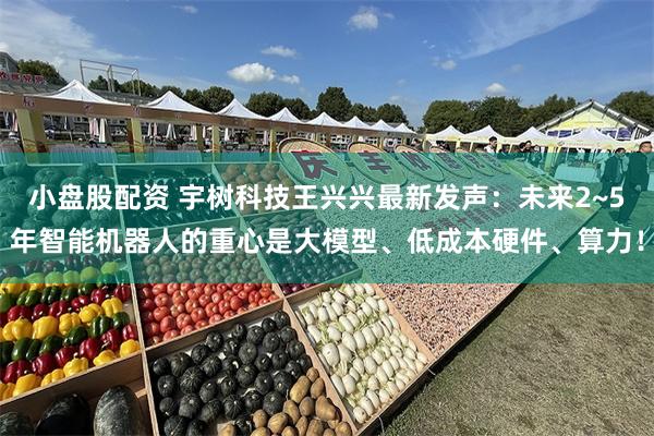 小盘股配资 宇树科技王兴兴最新发声：未来2~5年智能机器人的重心是大模型、低成本硬件、算力！