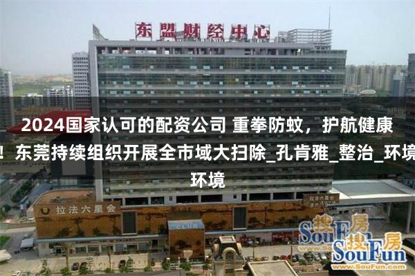 2024国家认可的配资公司 重拳防蚊，护航健康！东莞持续组织开展全市域大扫除_孔肯雅_整治_环境