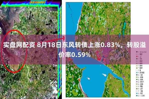 实盘网配资 8月18日东风转债上涨0.83%，转股溢价率0.59%