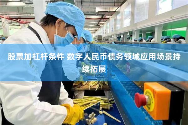 股票加杠杆条件 数字人民币债务领域应用场景持续拓展