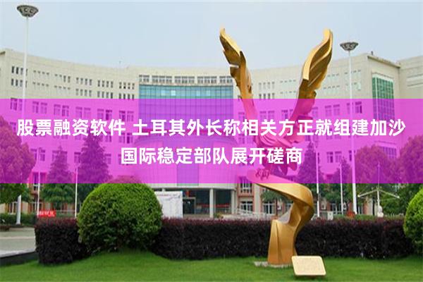 股票融资软件 土耳其外长称相关方正就组建加沙国际稳定部队展开磋商