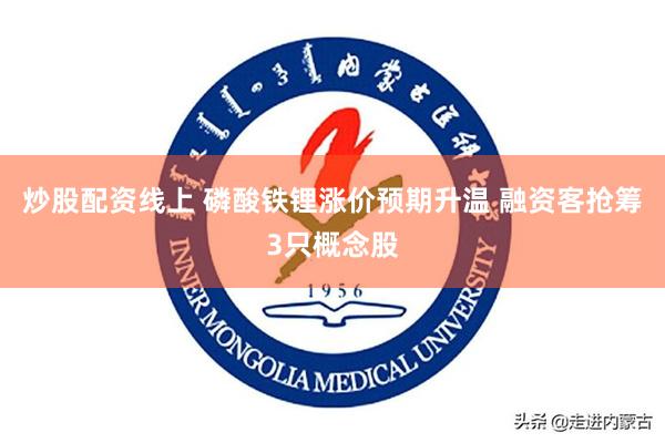 炒股配资线上 磷酸铁锂涨价预期升温 融资客抢筹3只概念股