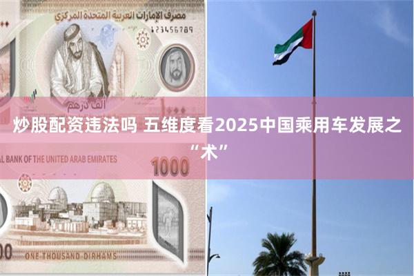 炒股配资违法吗 五维度看2025中国乘用车发展之“术”